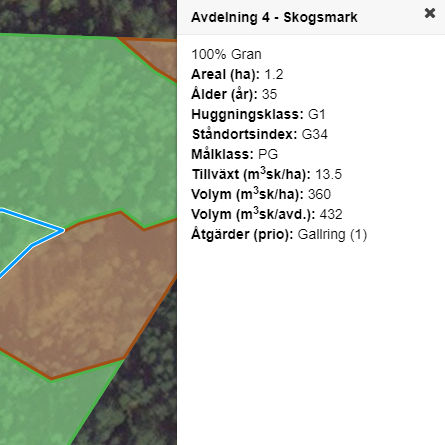 Avdelningsbeskrivning